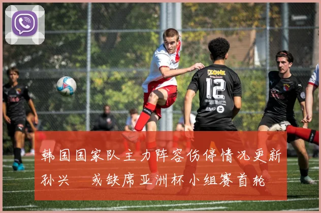 韩国国家队主力阵容伤停情况更新孙兴慜或缺席亚洲杯小组赛首轮