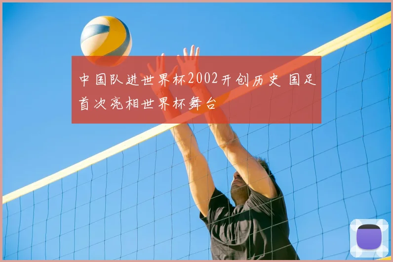 中国队进世界杯2002开创历史 国足首次亮相世界杯舞台