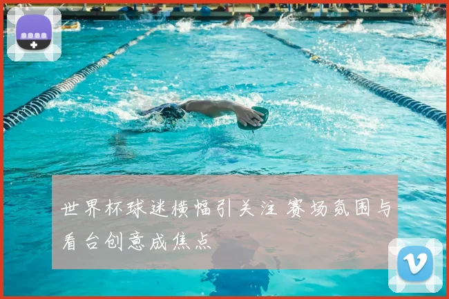 世界杯球迷横幅引关注 赛场氛围与看台创意成焦点