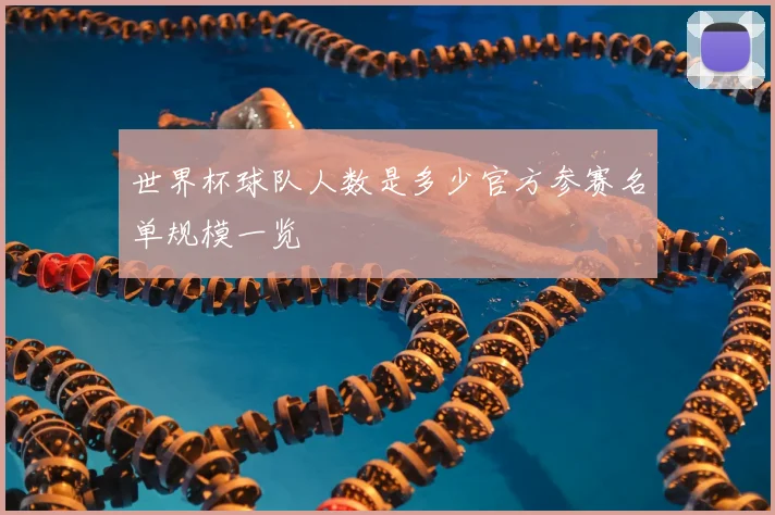世界杯球队人数是多少官方参赛名单规模一览