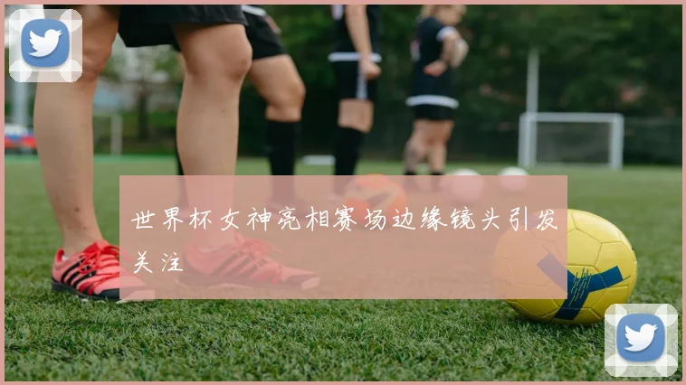 世界杯女神亮相赛场边缘镜头引发关注
