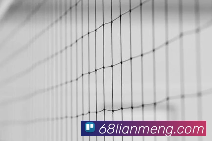 App Interface Preview